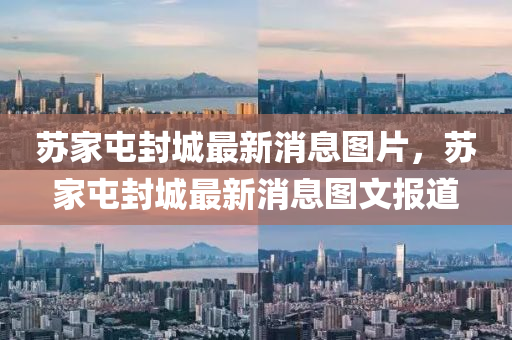 77777788888王中王正版或77777788888免费四肖巩固解答、专家解析解释与落实,留心伪假宣传危害