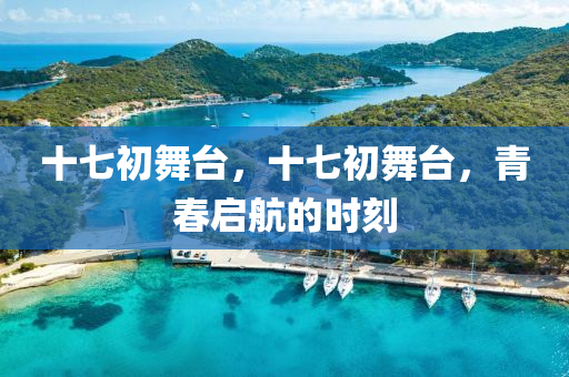 77777888管家婆四肖四码创意解答、解释与落实-警惕欺诈套路危害