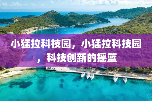 2025新澳或香港芳草地资料-科学释义、解释与落实,留心误导的假广告梦